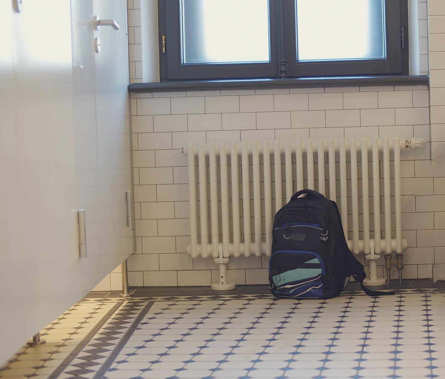 Kaks noorukit vedasid noorema õpilase ühes Pärnumaa koolis WCsse ja üritasid teda peadpidi potti suruda.