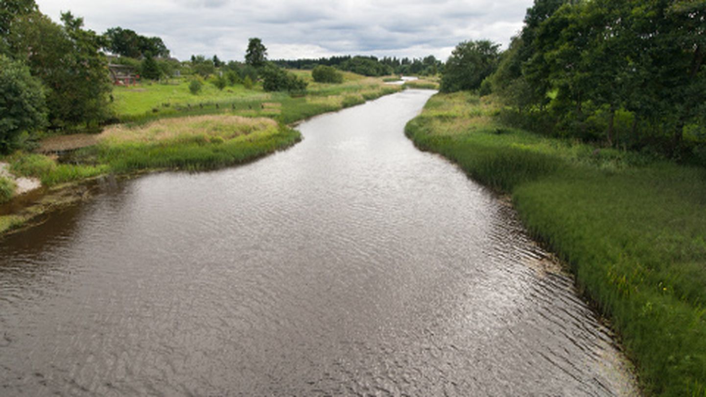 Üheks võimalikuks vapi sümboliks on Purtse jõgi, mis ühendab Maidlat, Püssit ja Lüganust. Vääriliselt seda vapile aga ei saadud.