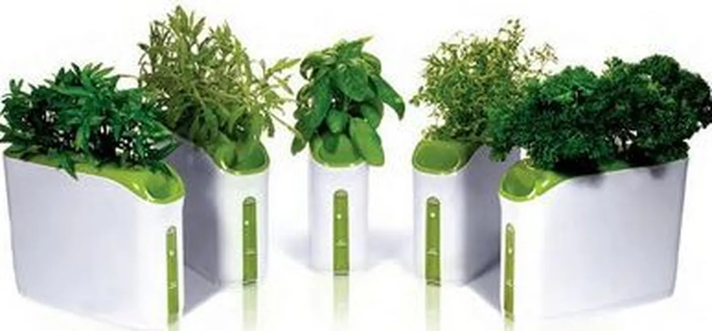 Power Plant Growing Machine
