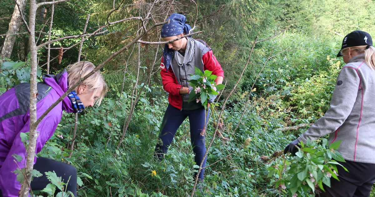 Eestimaa Looduse Fond tänas looduskaitsesse panustajaid