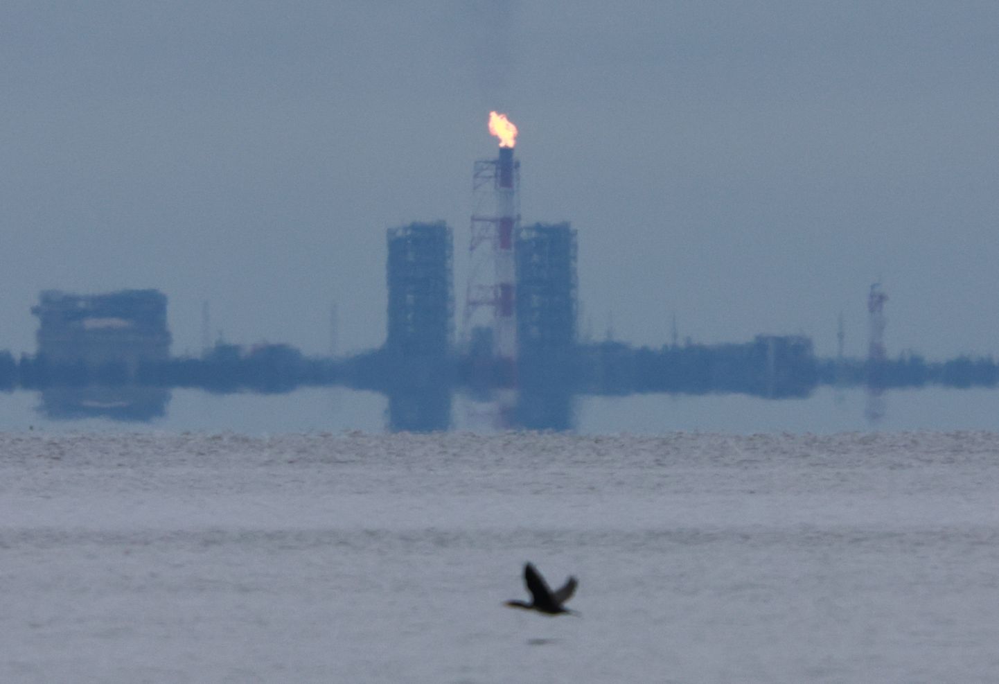 Gaasi põletamine Soome lahe rannikul asuvas Portovaja lahes.