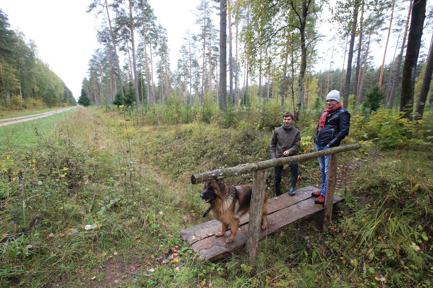 Tiksoja metsa planeeritakse sõjaväeosa. Kohalikud elanikud Raul Rosenvald (vasakul) ja Neeme Neevits ei pea Tiksoja metsa kaitseväelinnaku kavandamist heaks mõtteks, sest linlastelt võetaks nii ära väärt puhkemets.