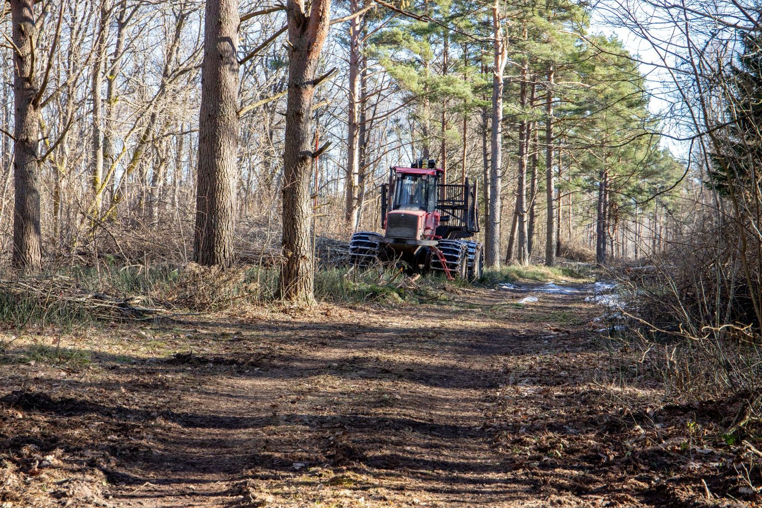 Erinevalt levitatavast demagoogiast on just metsatööstus esimesena huvitatud sellest, et Eesti metsad oleksid kestlikult majandatud.