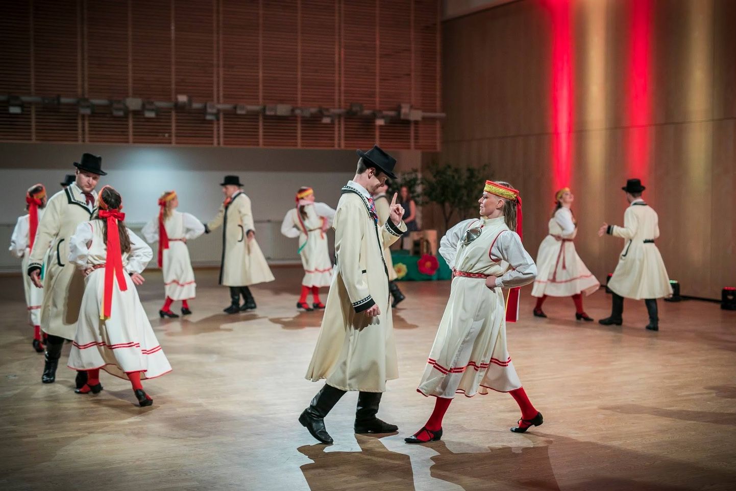 В воскресенье в Кохтла-Ярвеском центре культуры ансамбль народного танца Таллиннского технического университета "Кульюс" отмечает 70-летие юбилейным концертом "Восьмиугольник".