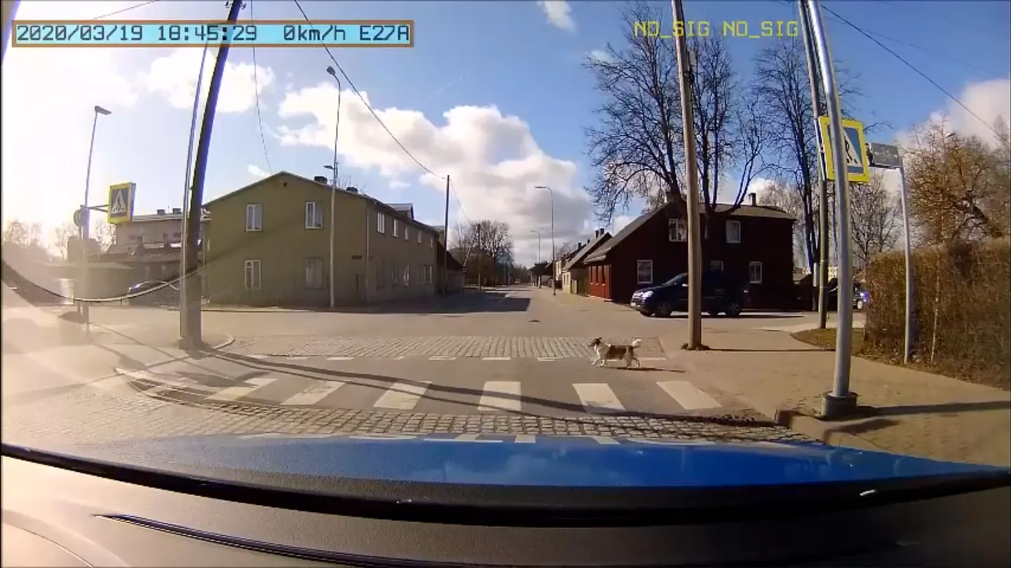 Скриншот видео.
