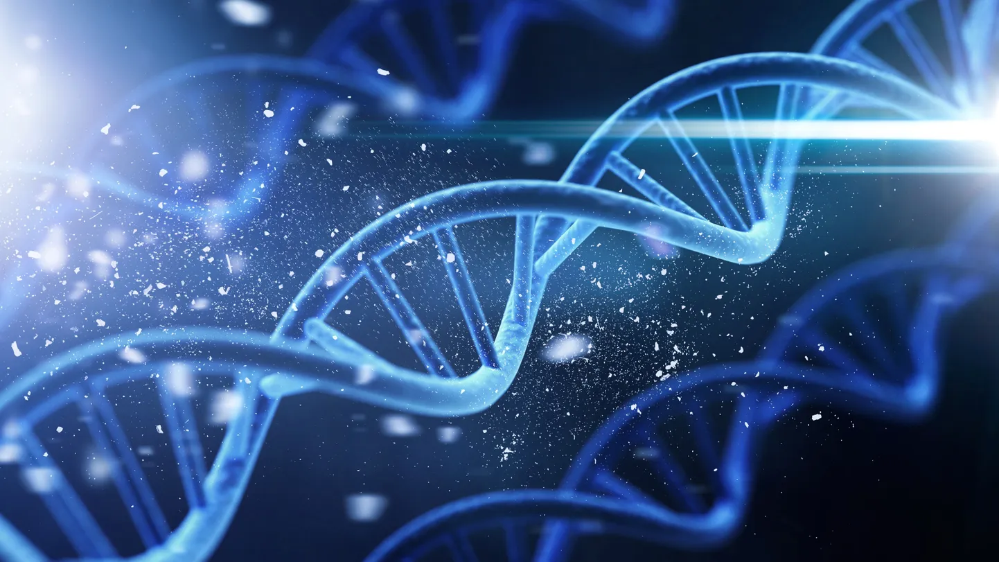 DNA