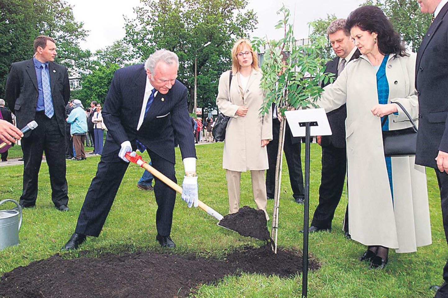 Agronoomiharidusega president Arnold Rüütel 2003. aastal koos kaasa Ingridiga Pärnu Rannapargis pihlakat istutamas.