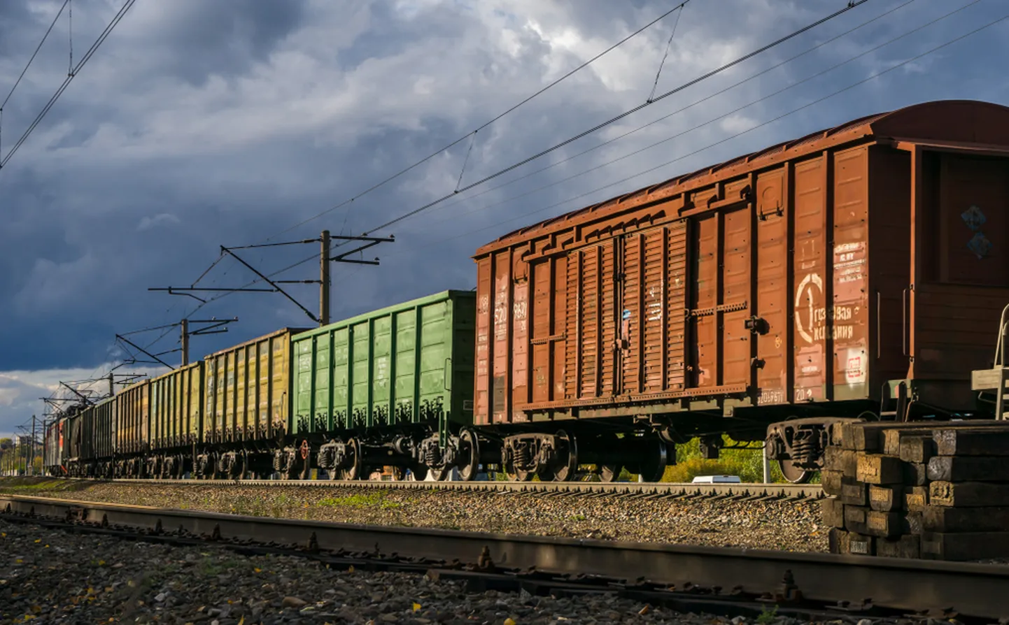 Фото статьи