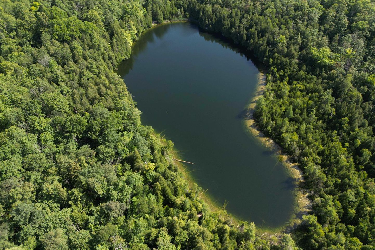 Üsna tavalise välimusega Crawfordi järv on tunnistatud antropotseeni hüpotsentriks.
