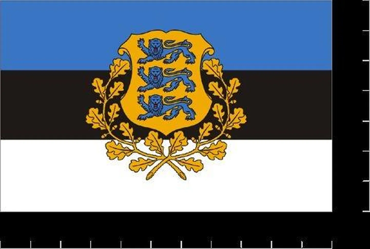 Eesti Vabariigi lipp ja vapp.