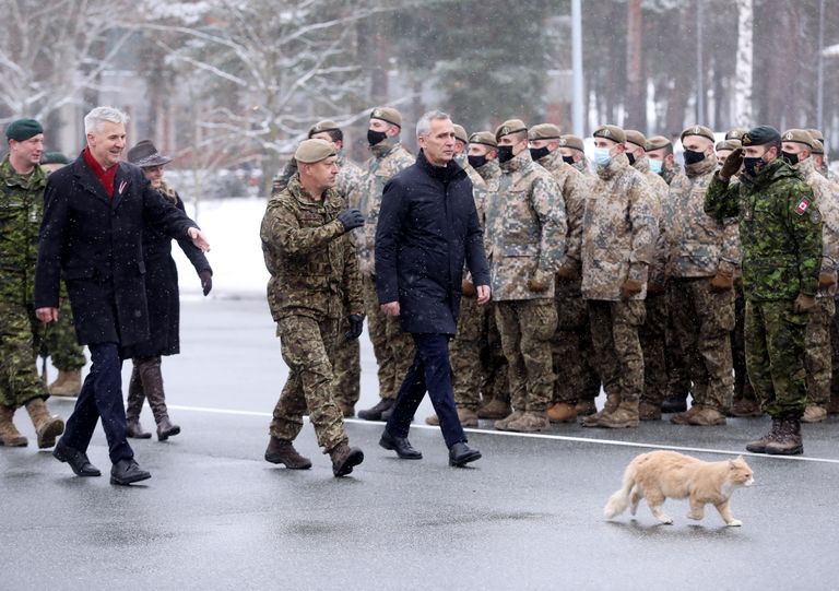 Столтенберг и кот на встрече с военными в Адажи