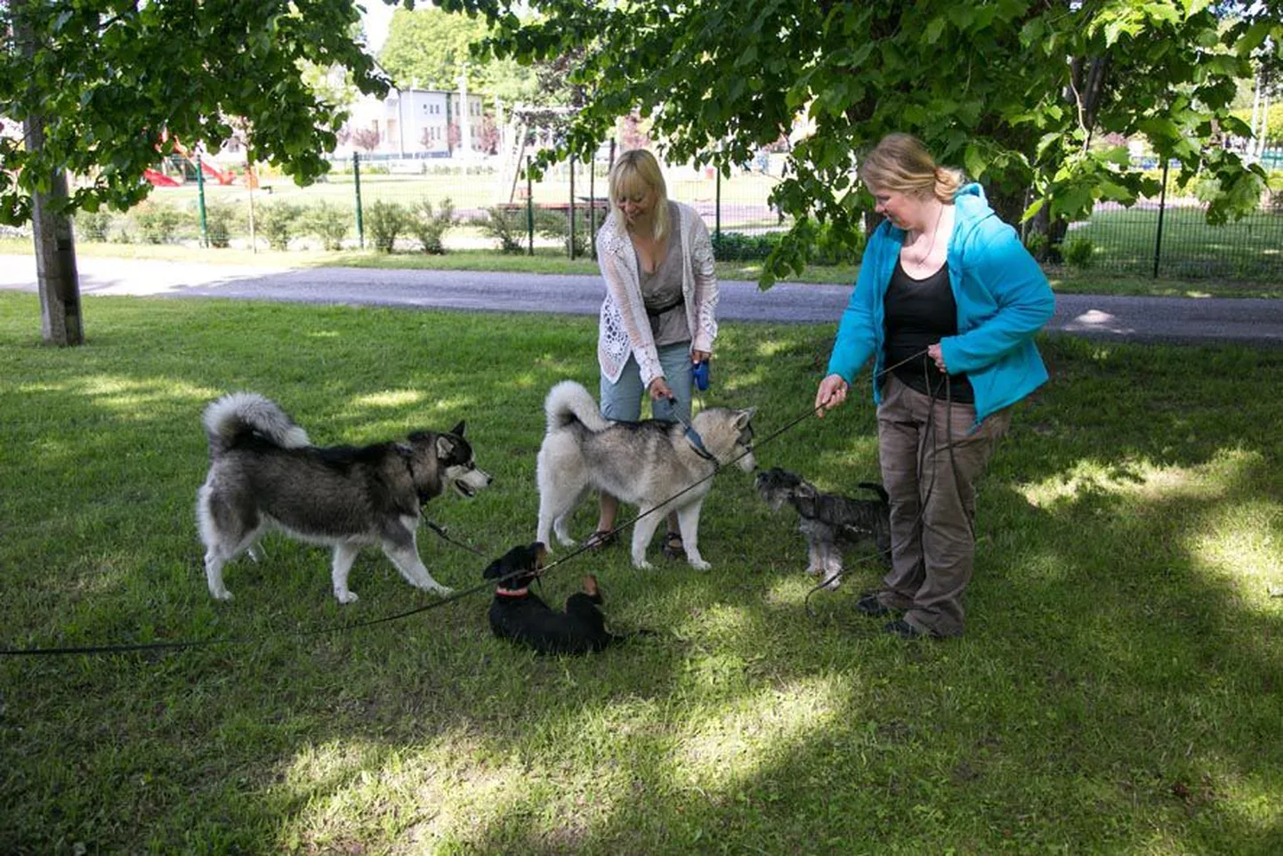 Türi koeraomanikud Reelika Marrandi (vasakul) ja Aili Pärtel-Beljajev tunnevad puudust kohast, kuhu tulla nii teistega suhtlema kui ka lemmikuid treenima.