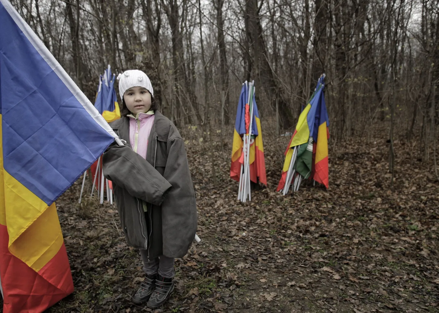 Laps Rumeenia lipuga.