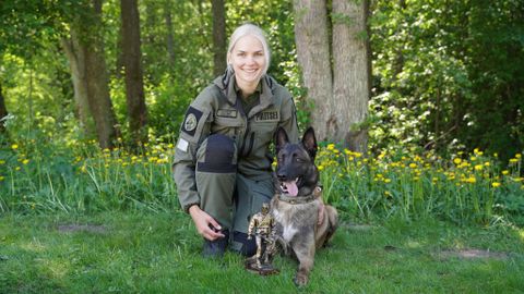 Наша гордость! ⟩ Лучшая полицейская собака Эстонии помогла быстро поймать магазинных воров