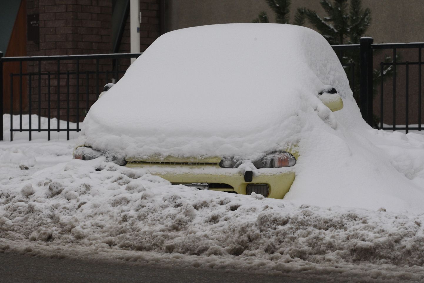 Tippaegadega võrreldes on automüük justkui talveunne suikunud.