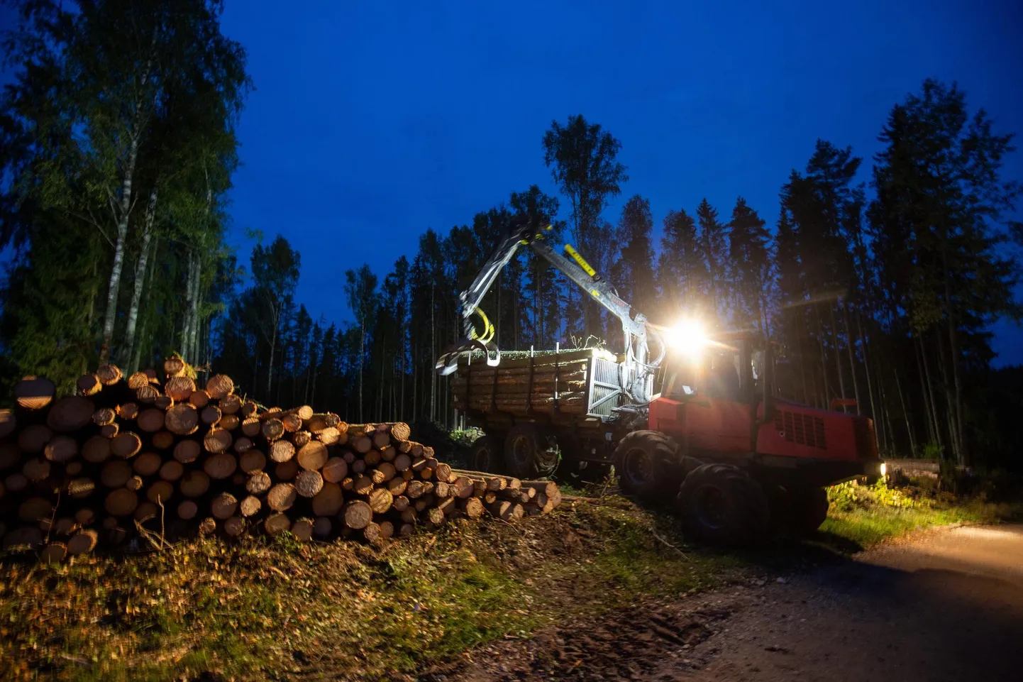 Kliimaministeerium jäi kidakeeleseks selgituste jagamisel, kui palju ja milliseid kaitsealasid plaanitakse metsatöösturitele puidu hankimiseks ohverdada, kui Eesti ja Euroopa Liidu seadused ei luba niisama metsa kaitse alt välja arvata.