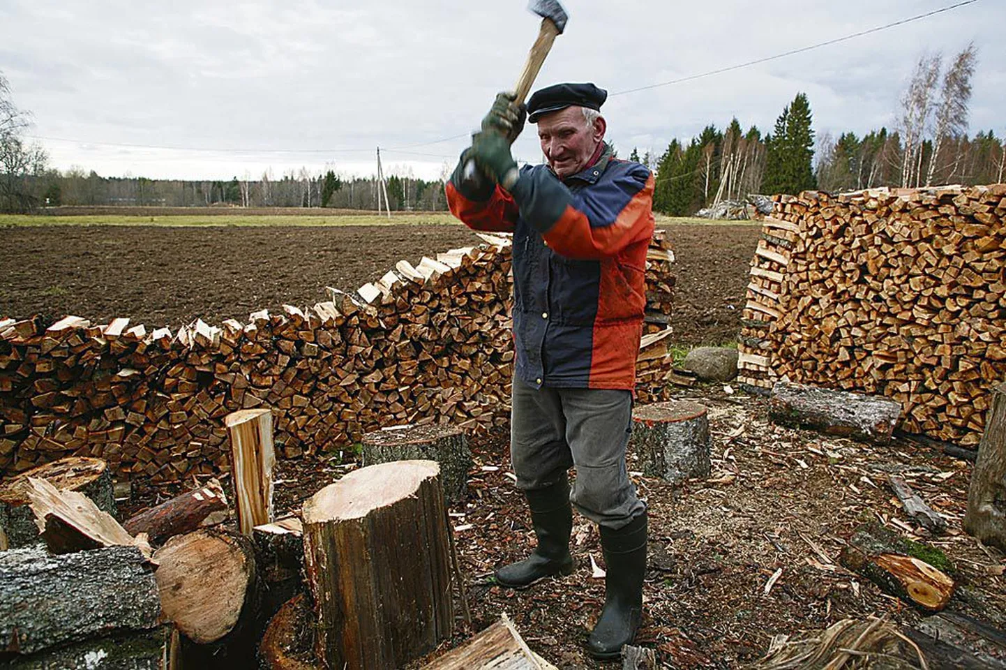 “Metsatöö on nagu harjumus, seda välja ei ravi,” kostab Jalakase talu peremees Aado Suur koduõues.