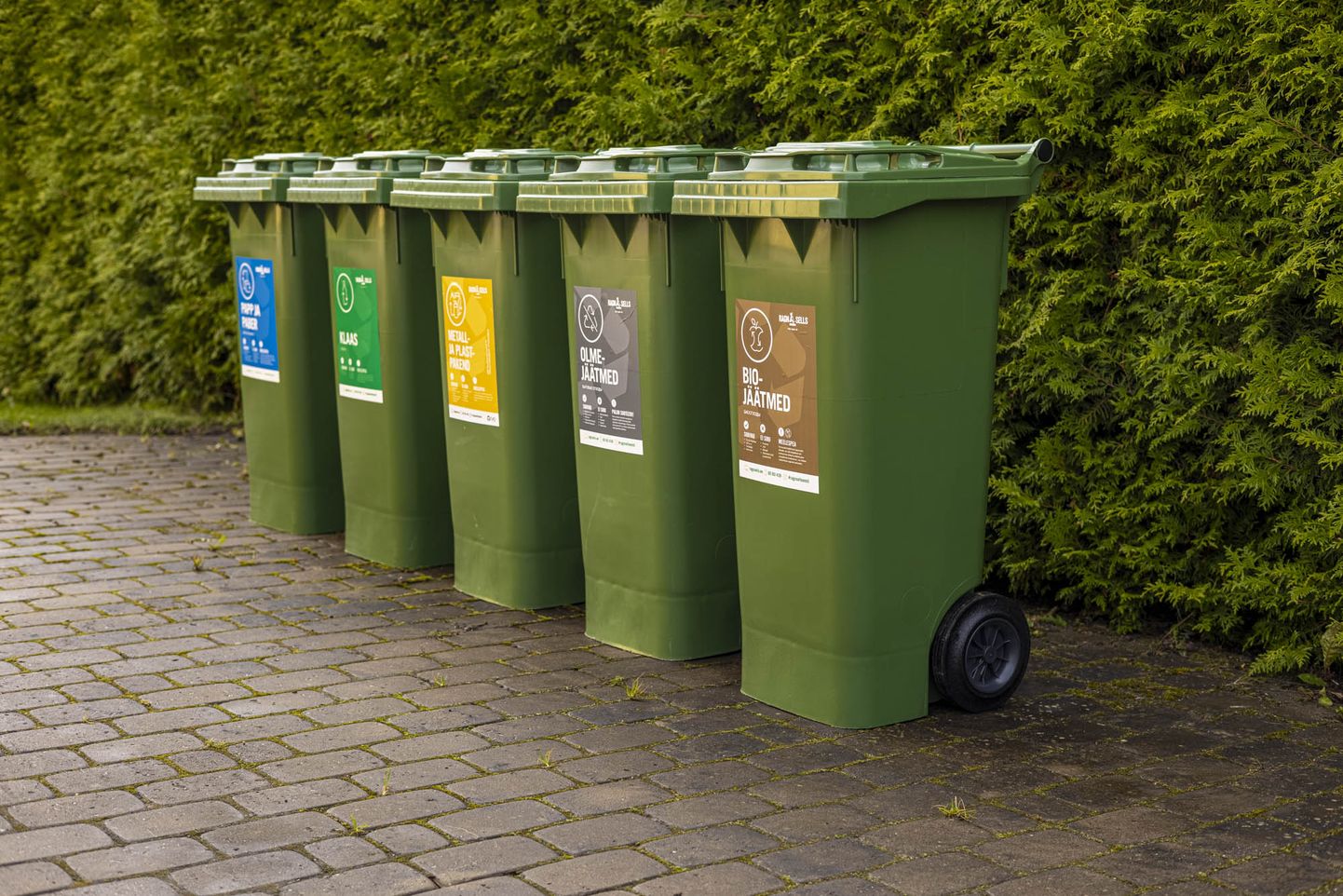 Контейнеры для разных видов мусора. Фото иллюстративное.