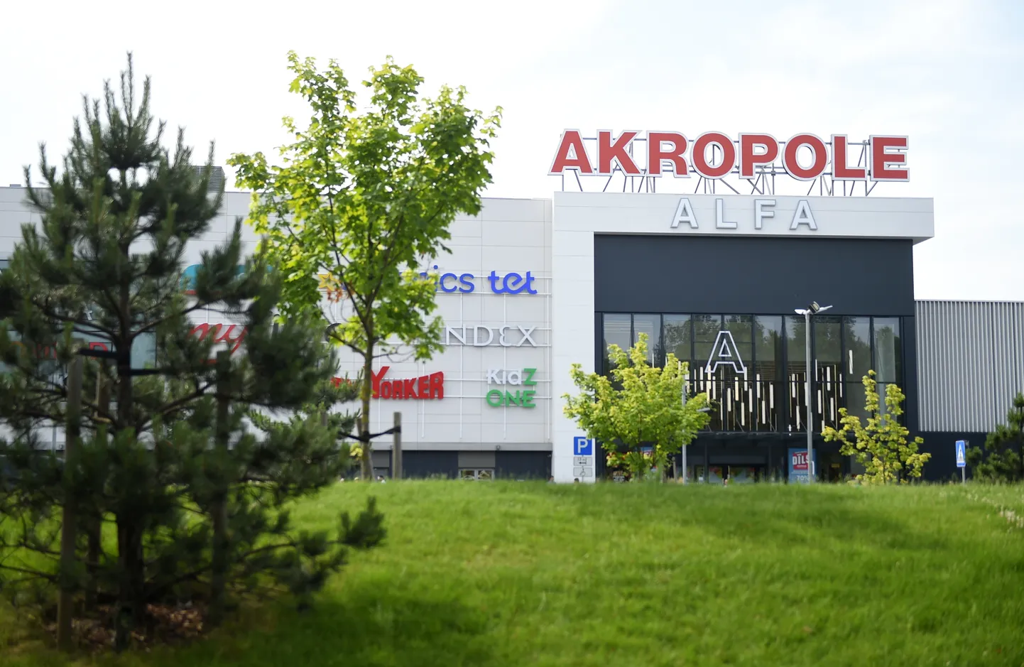 Raksta foto