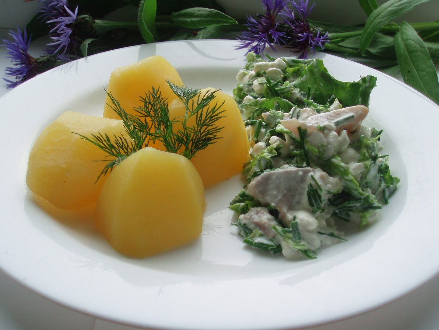 Suvised salatid heeringast