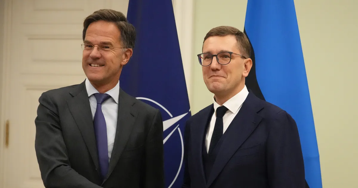 Rutte hurjutas Michalit artikkel 4 väidetava kergekäelise käivitamise eest