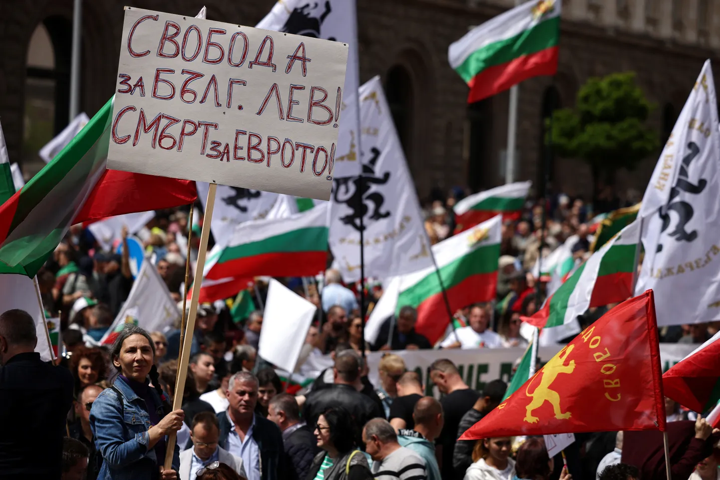 Euroopa Liidu ühisrahale ülemineku vastane protest Sofias 31. mail.