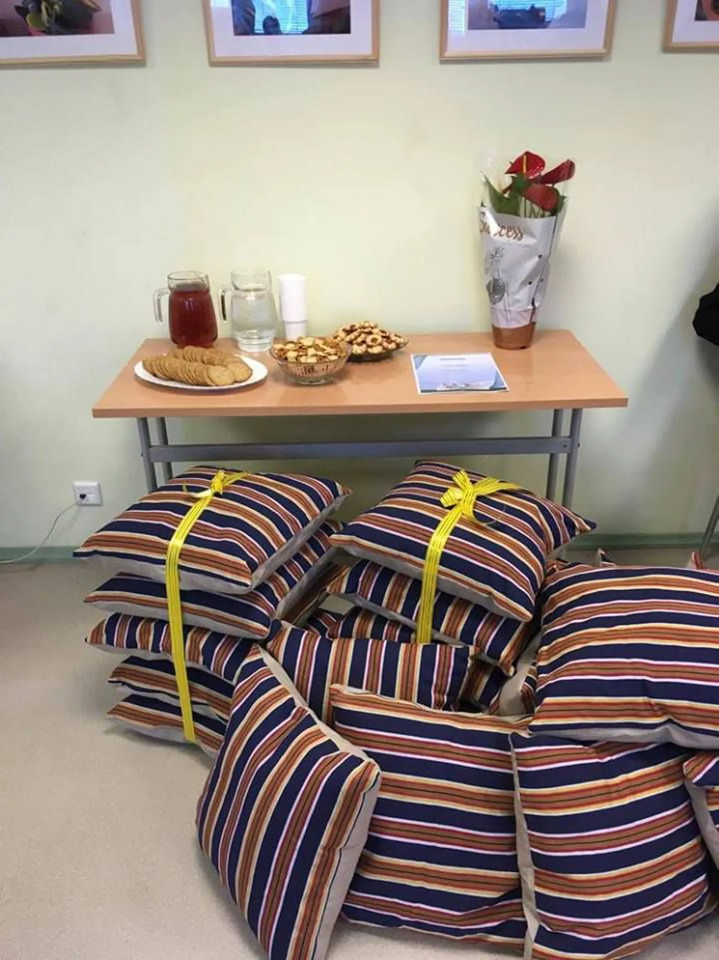 Türi raamatukogu sai 20 patja
