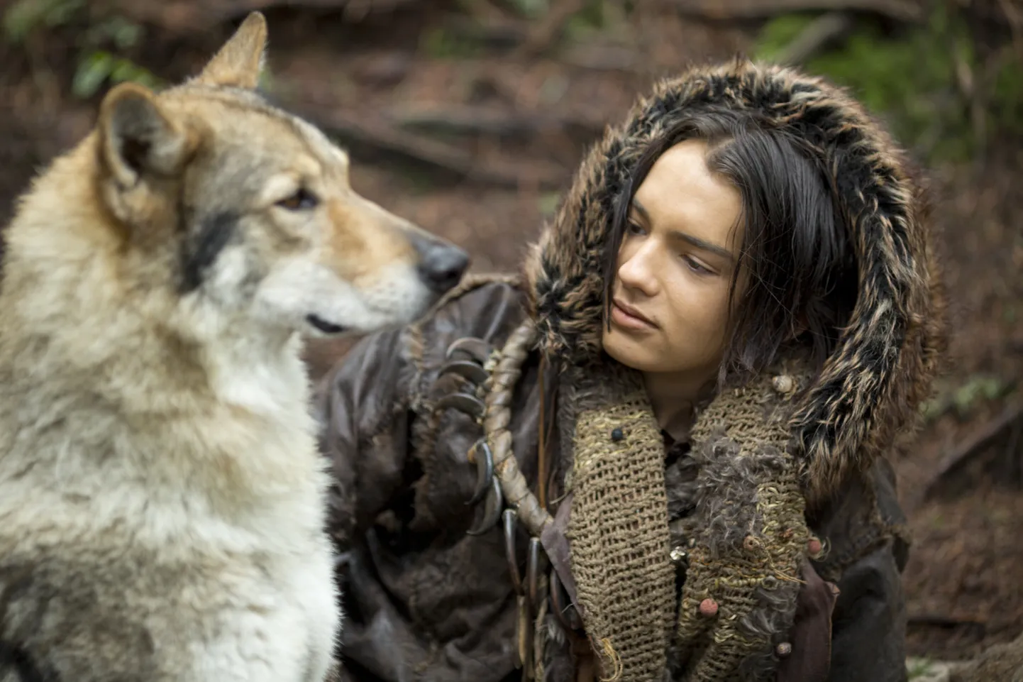 Kodi Smit-McPhee filmis «Alfa»