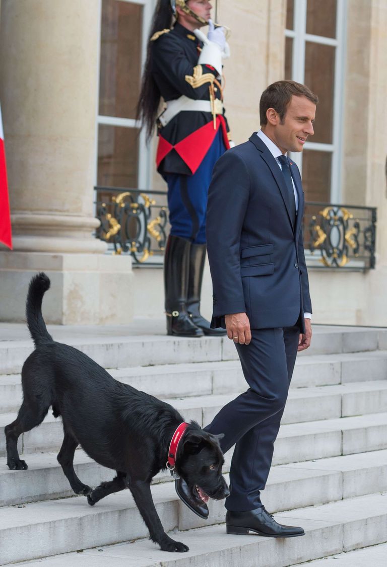 Prantsusmaa president Emmanuel Macron oma koer Nemoga.