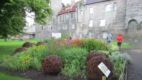 Tallinn kutsub kõiki osalema aiakujunduse võistlusele!