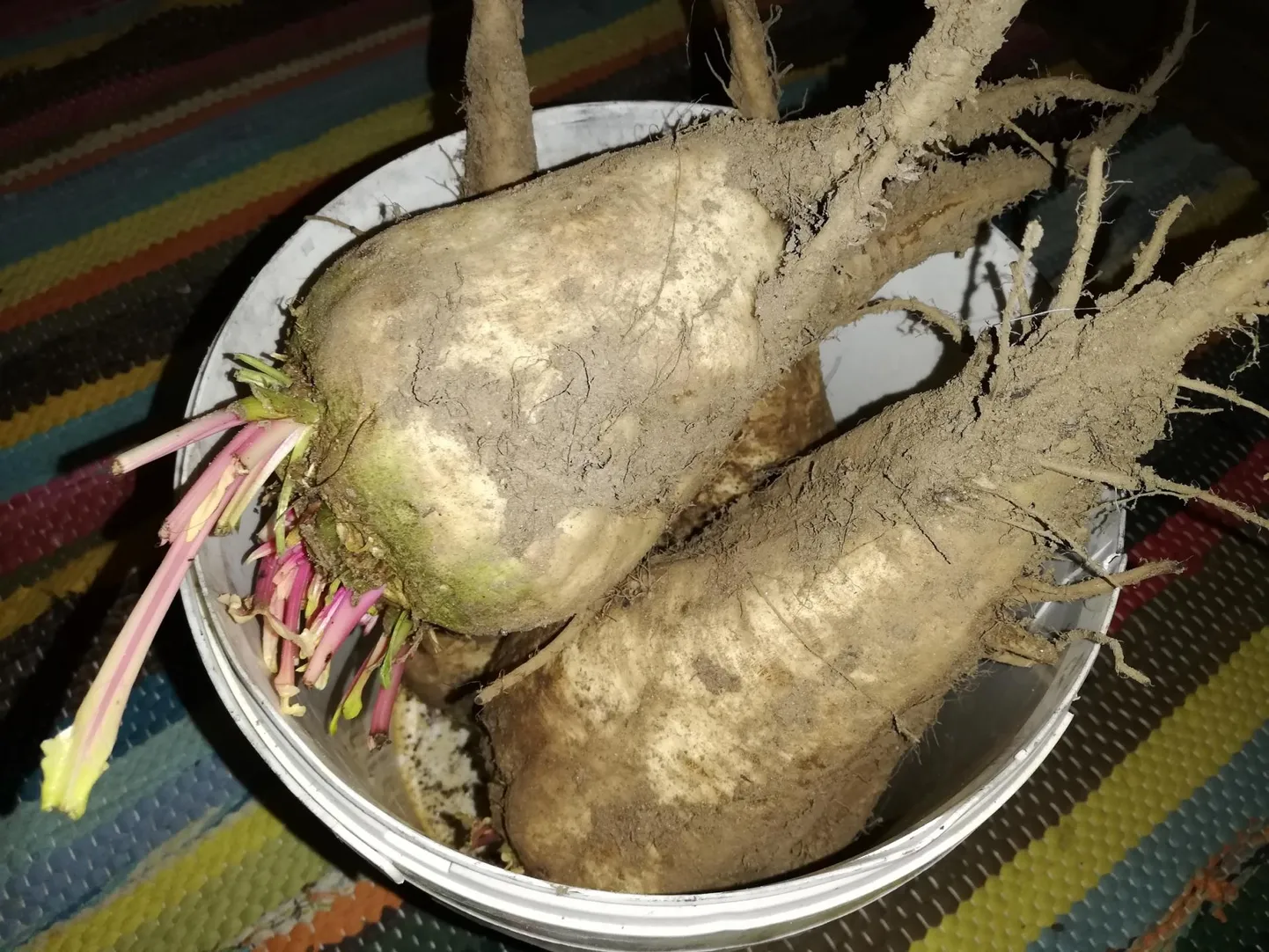 Kahest pangetäiest peedist sai suhkrut kolme kilo taina jagu.