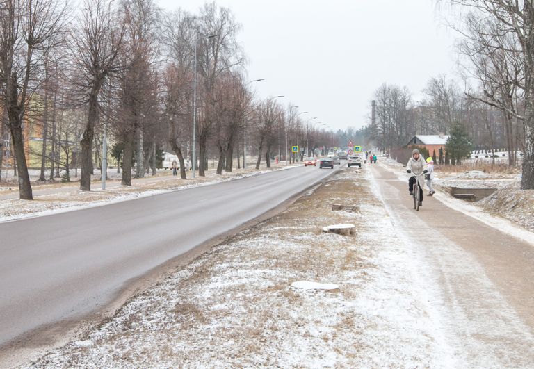 Ausekļa tänava äär Valkas pärast puude mahavõtmist. / Foto: Arvo Meeks/Valgamaalane