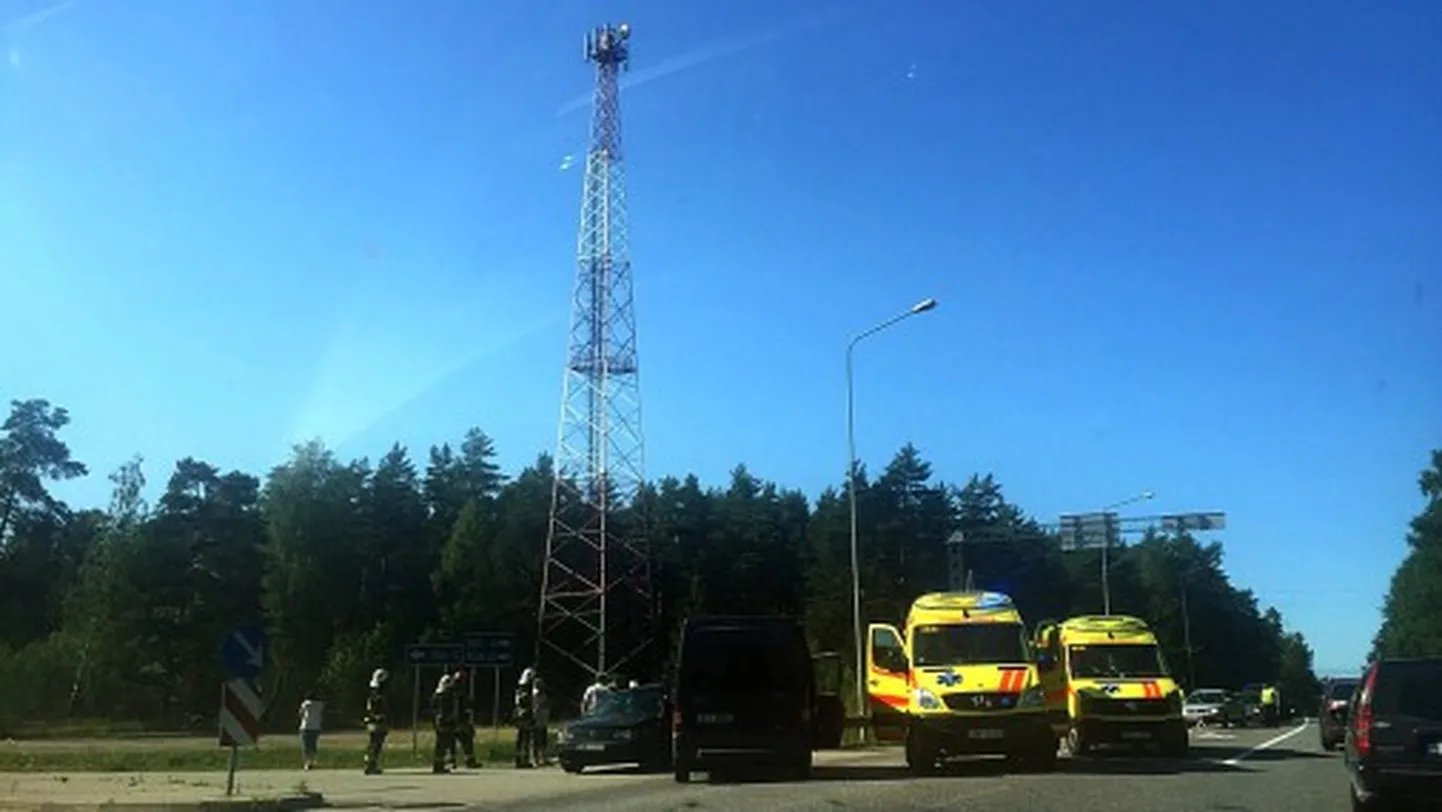 Фото статьи