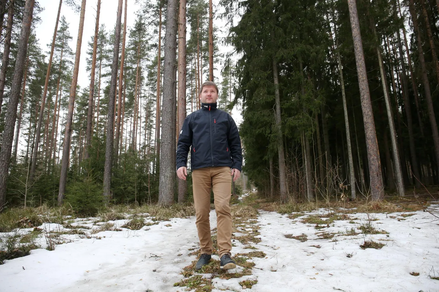 Kastre vallavanem Priit Lomp näitas Vooremäel, milline näeb välja hooldatud mets (vasakul) ning milline hooldamata mets. Pildil on Kastre vallale kuuluv metsatukk.
