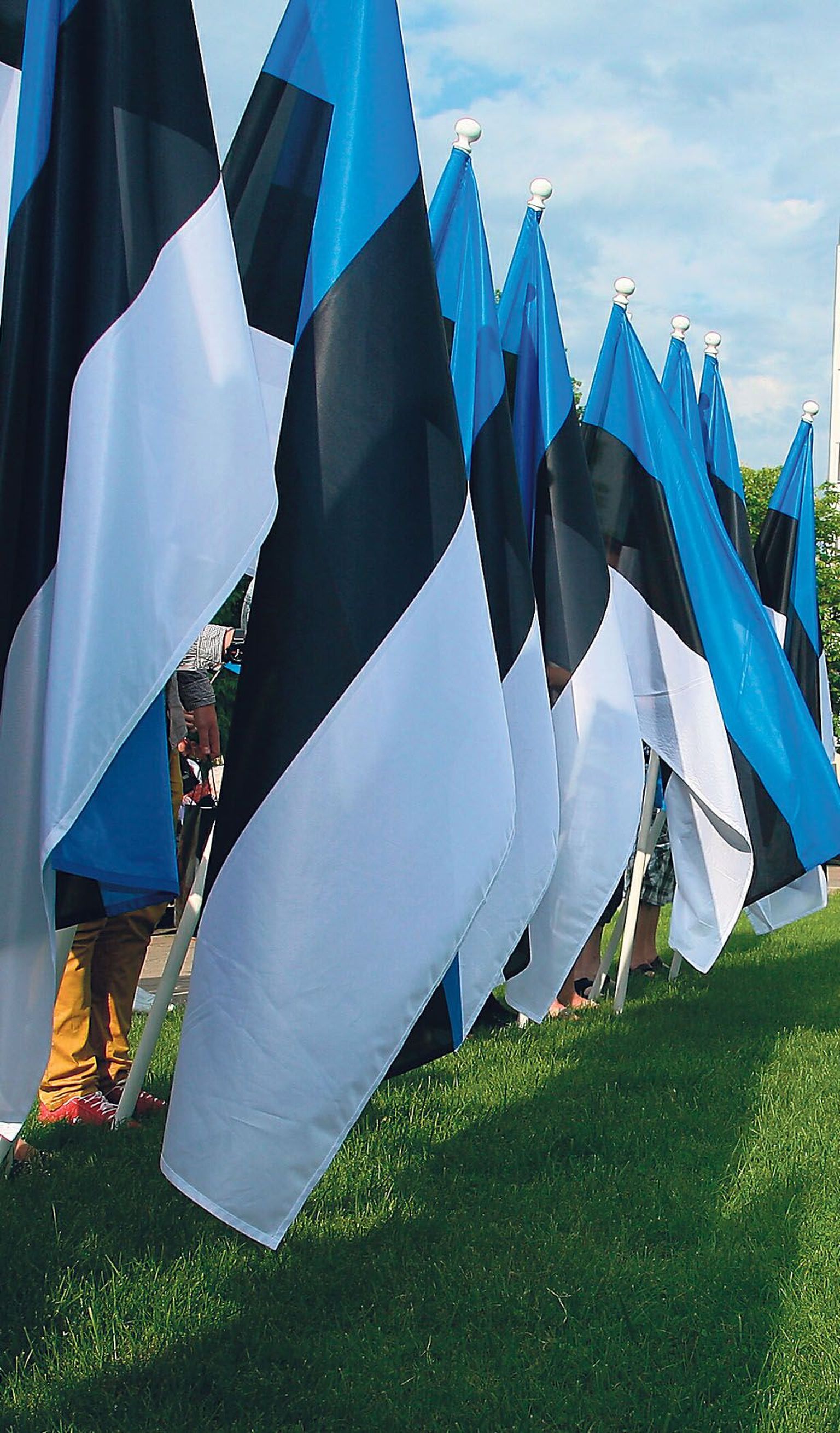 “Lipp kannab sõnumit sellelt, kes on maa tegelik peremees,” leiab Eesti lipu seltsi tegevjuht Urmas Saard.
