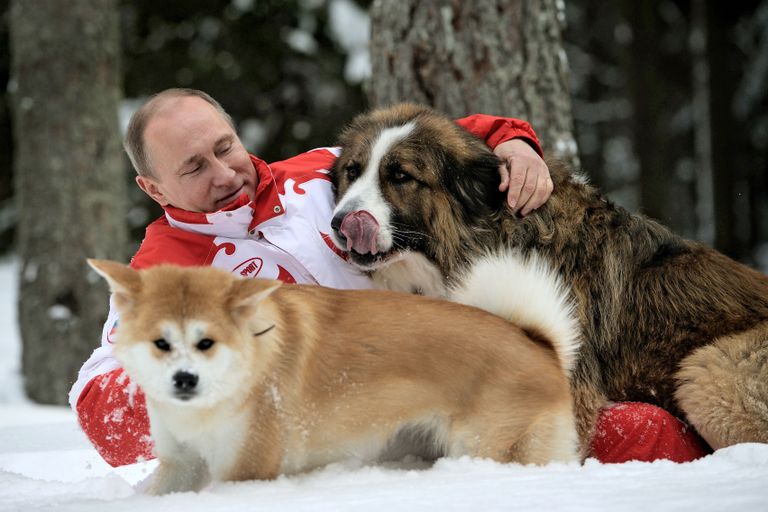 Putin müramas lumes koos Buffy ja Yumega.