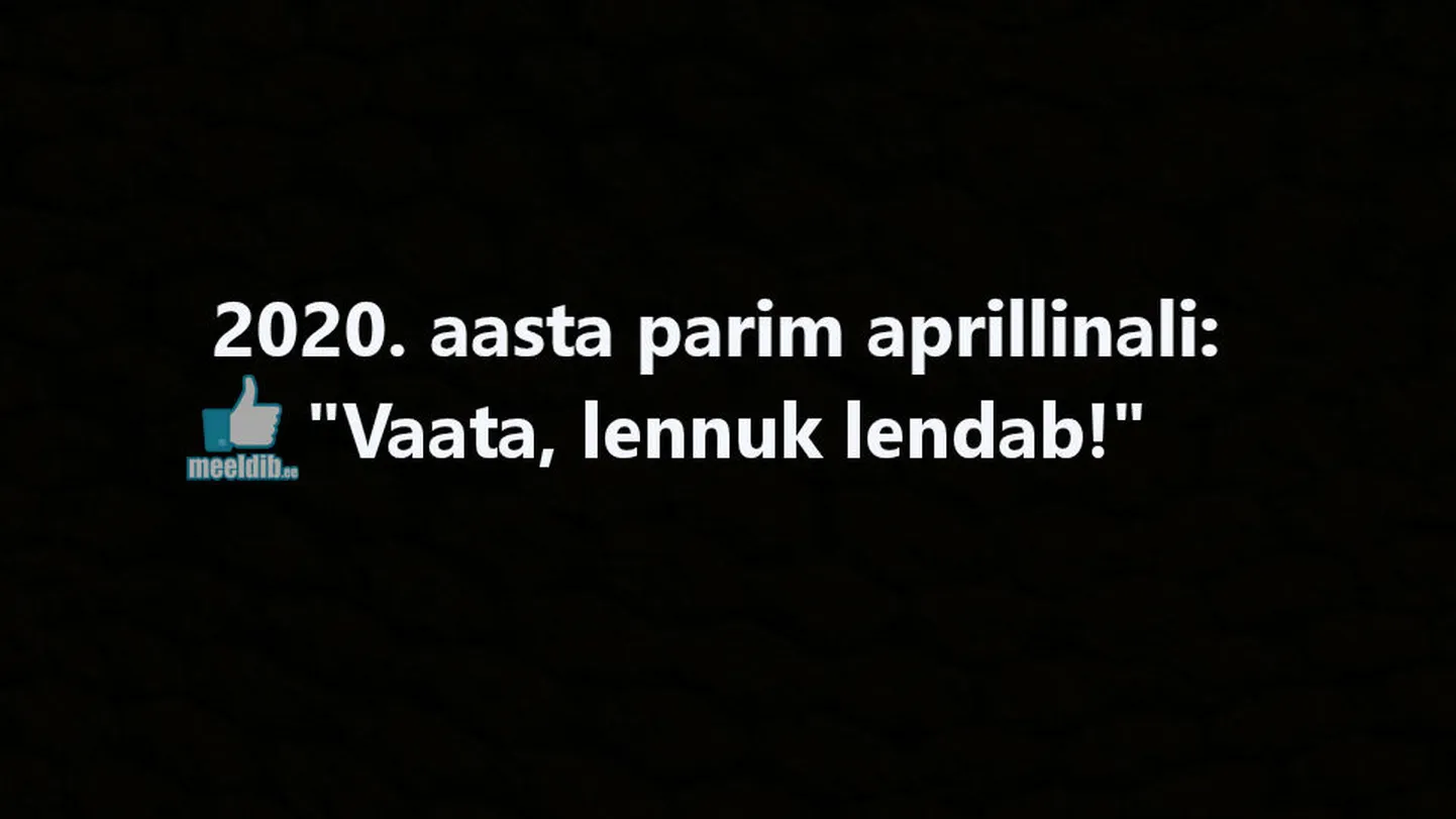 Artikli foto