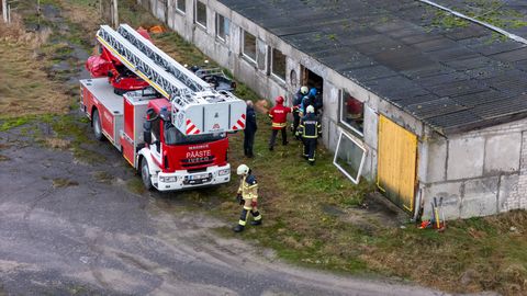 Atria kontsern paneb riigi toel Mulgimaa seakasvatusse miljoneid eurosid