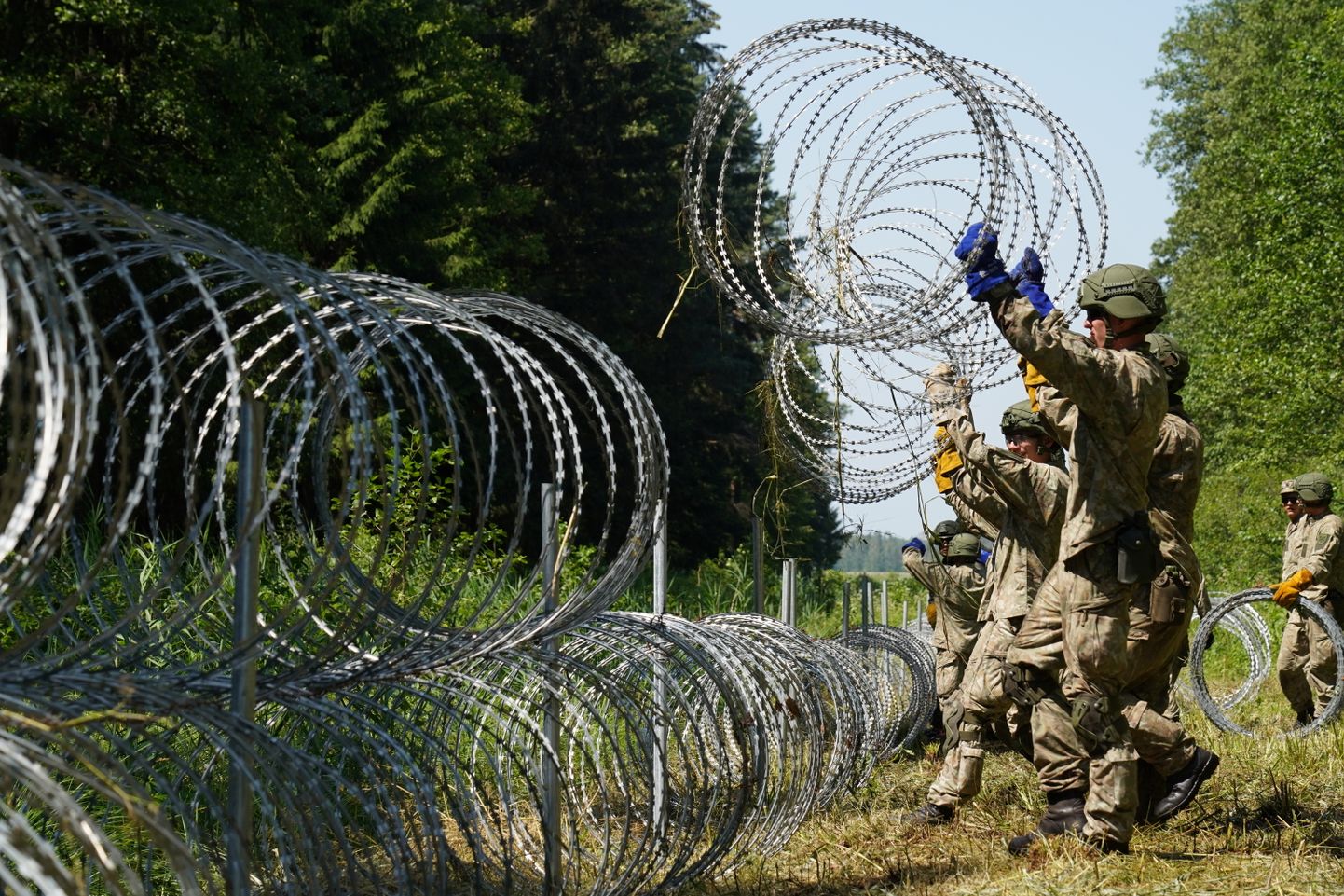 Литовские военные устанавливают колючую проволоку на границе с Белоруссией