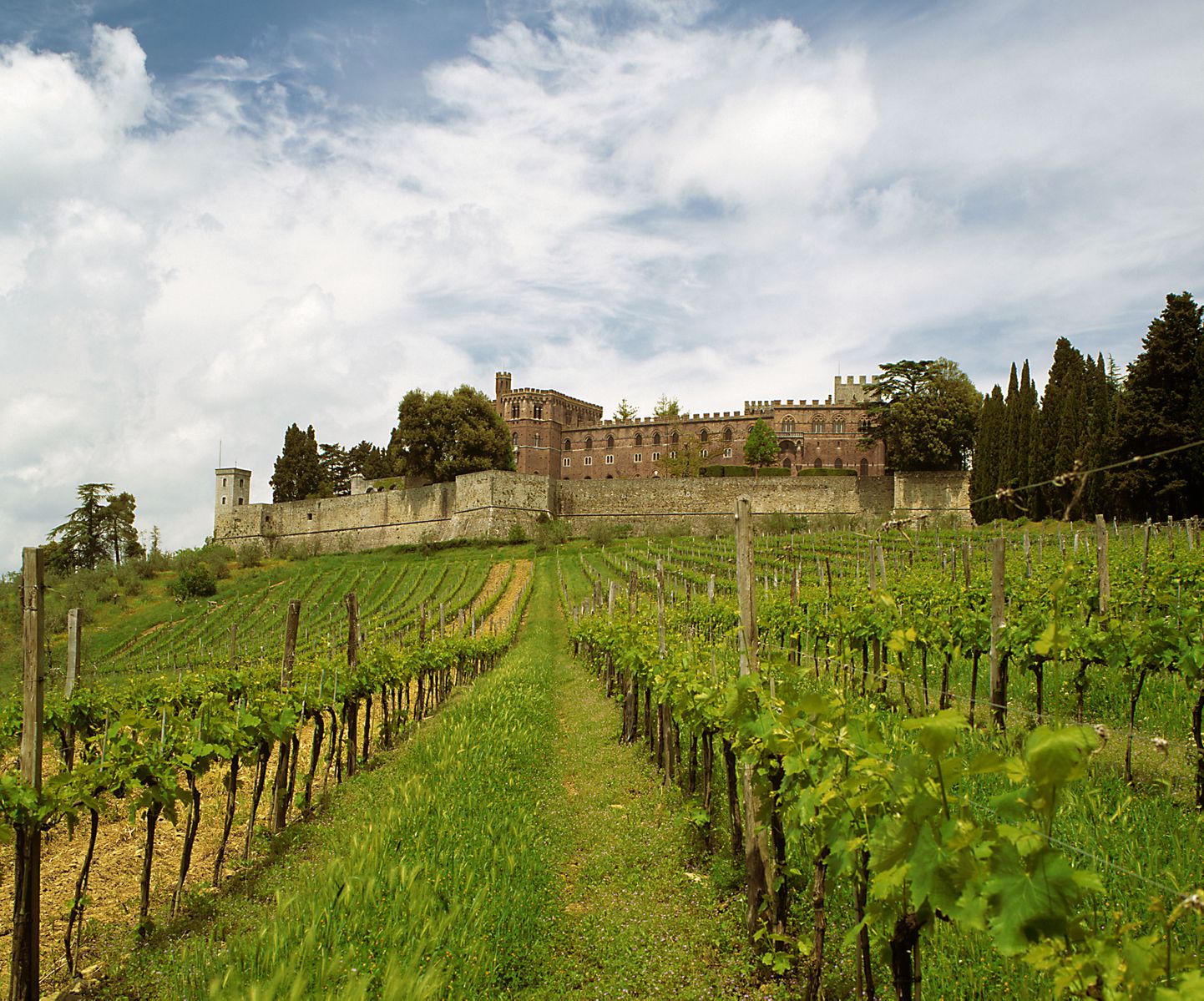 Toscana viinamarjaväljad.