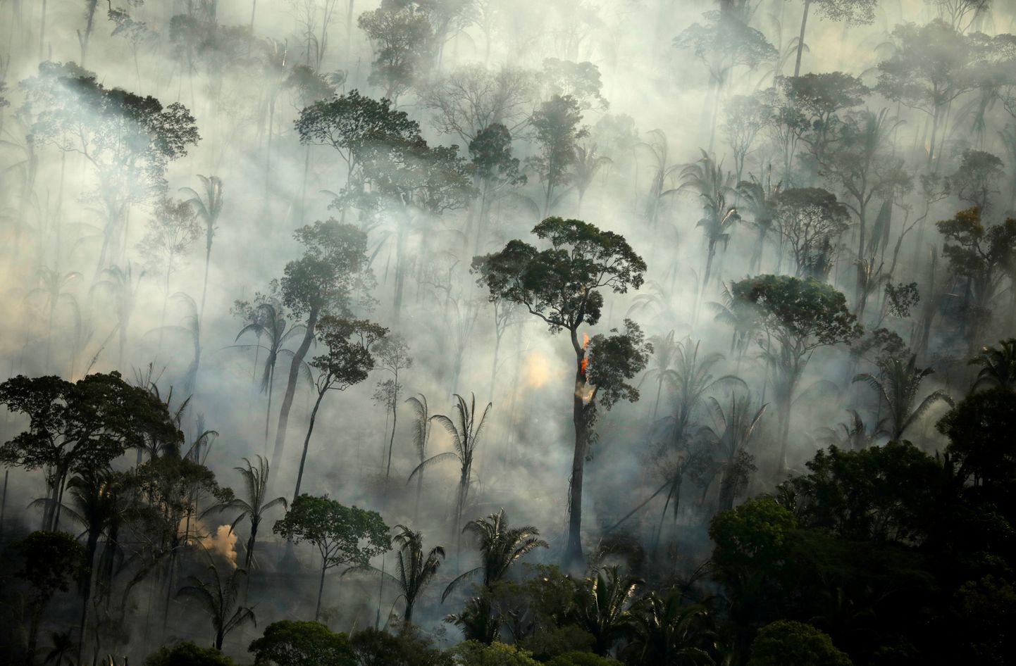 Amazonase vihmamets 10. septembril.