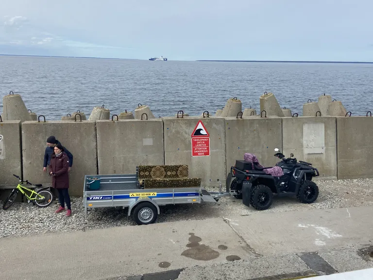 Такси на Аэгна