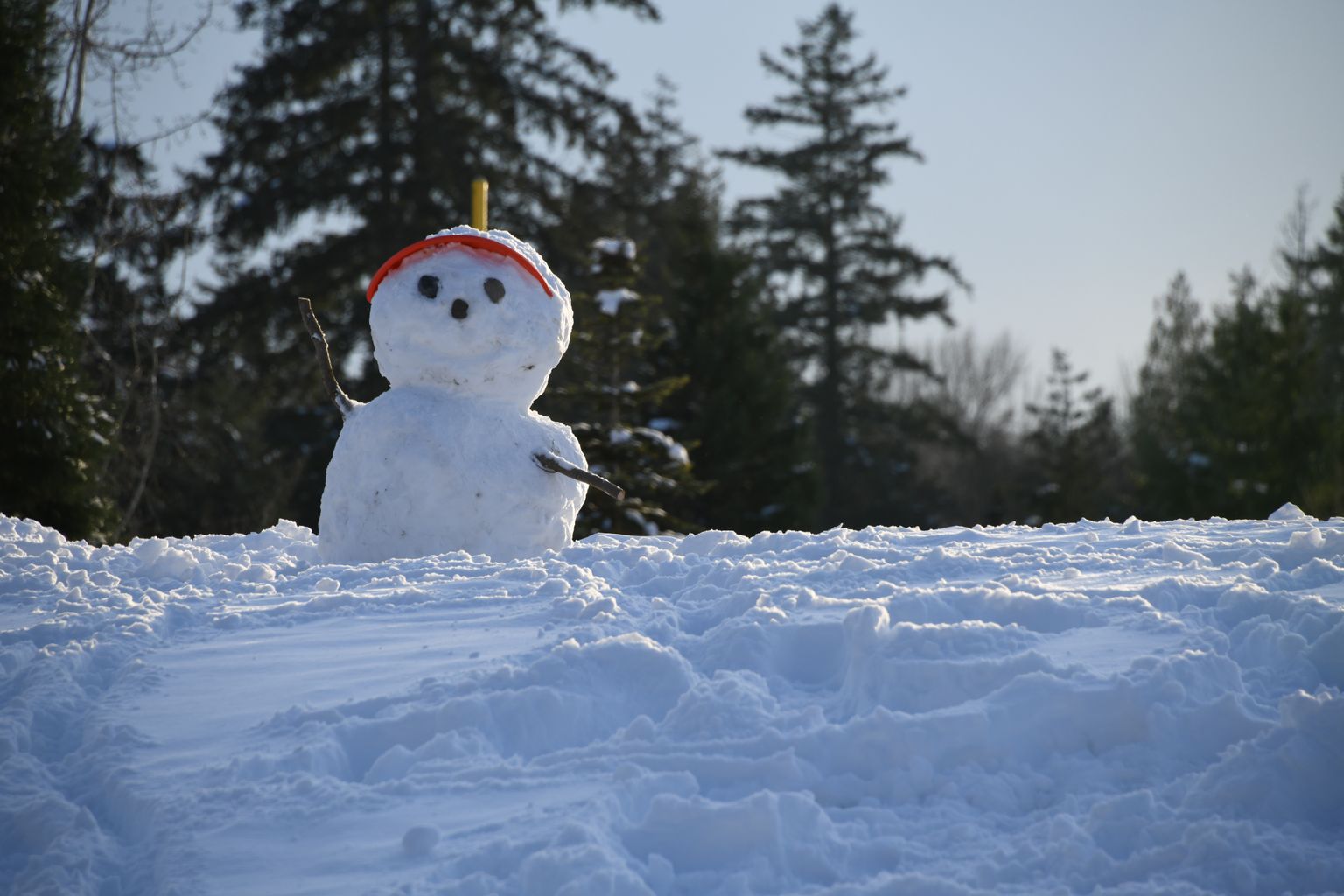 Снеговик. Иллюстративное фото.