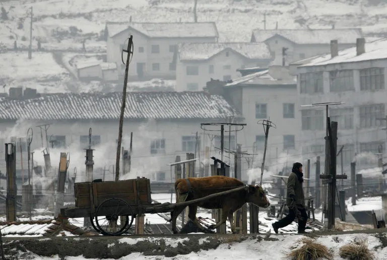 Pilt talvisest Hyesani linnast / Scanpix