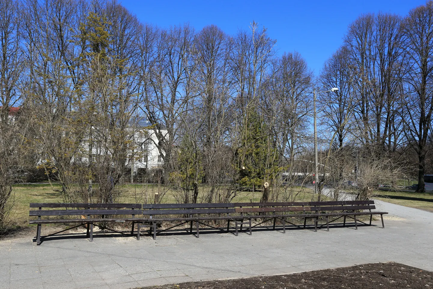 Töömehed võtsid eile Tartu südalinnas Kaubahoovi pargis maha kõige jämedamad sirelid.