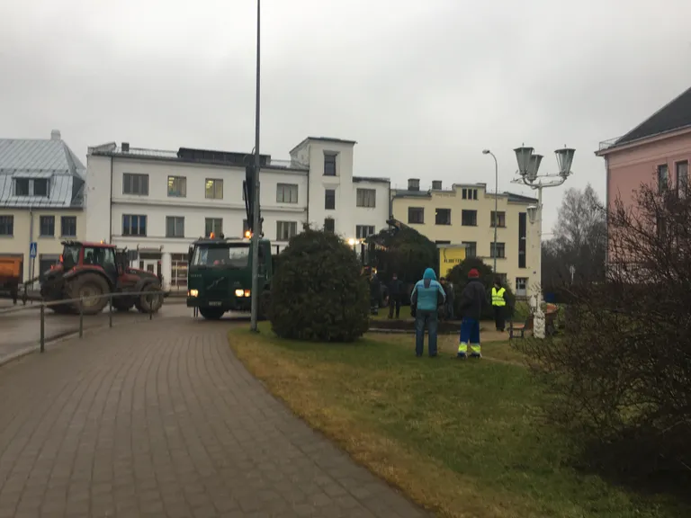 Jõulukuuse paigaldustööd Tõrvas