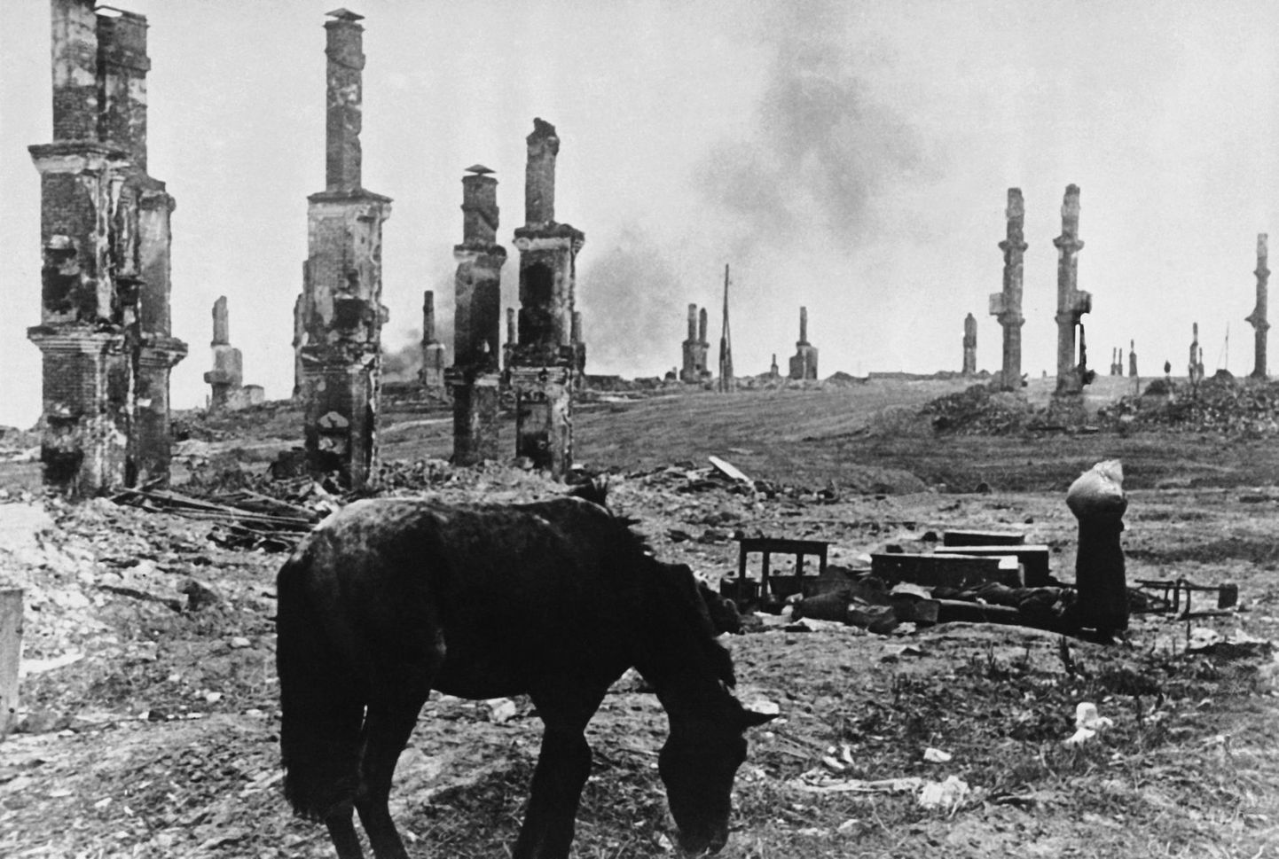 FILE - In this file photo taken on Dec. 18, 1942, an abandoned horse grazes among the ruins of the Russian city of Stalingrad, Russia, about four months into the battle for the city on the Volga River between Axis forces and the Soviet army. In the background, at right, Russian women leaving their battered homesteads make their way through the ruins. President Vladimir Putin has attended commemorations marking the 75th anniversary of Nazi surrender in the WWII battle of Stalingrad, lauding the Red Army&#39;s victory as a shining example of the nation&#39;s perseverance amid adversity. (AP Photo/Alvin Steinkopf, File)