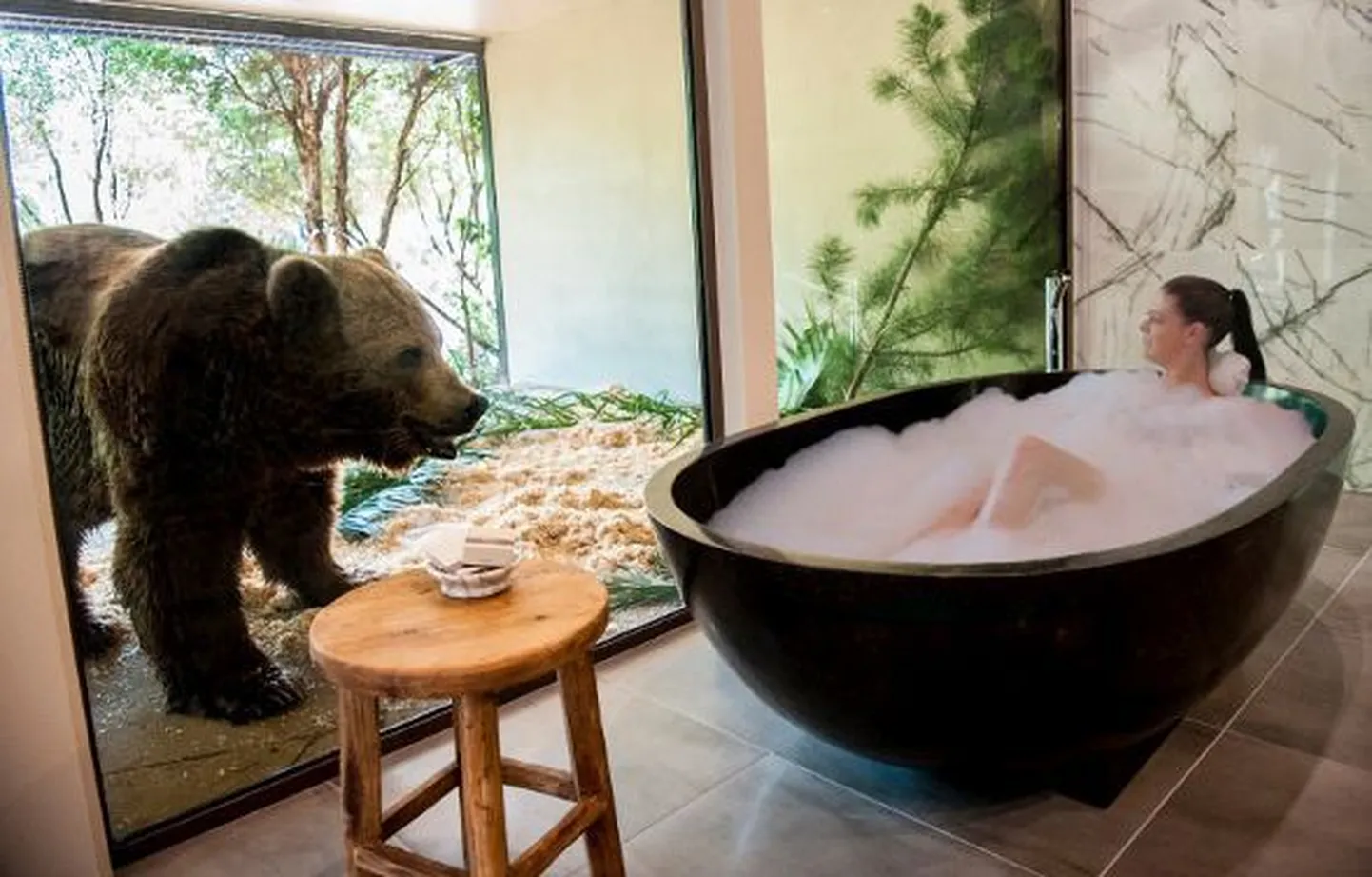 Spaahotell The Jamala Wildlife Lodge