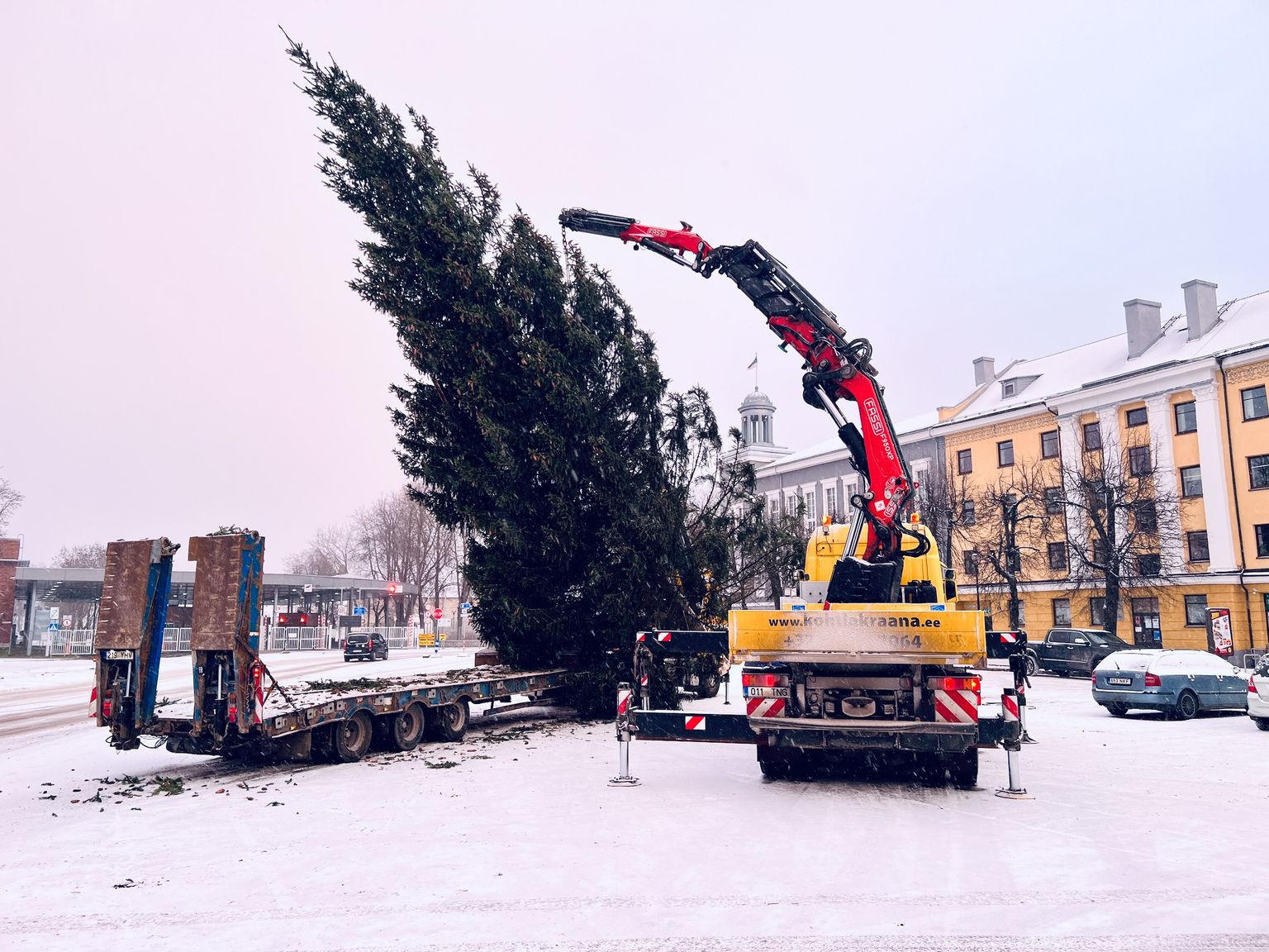 Установка елки на Петровской площади Нарвы.