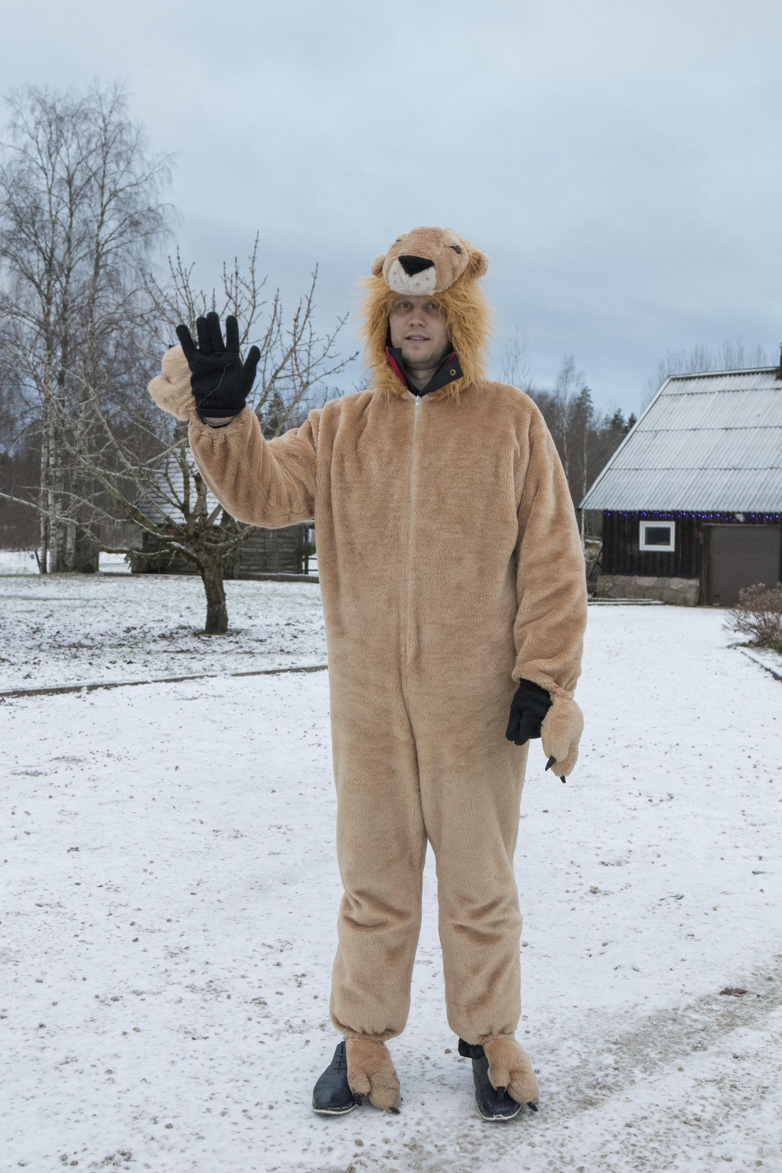 Lõvikostüümi riietunud Priit Toobal oma koduõuel Viljandimaal Võlli külas.